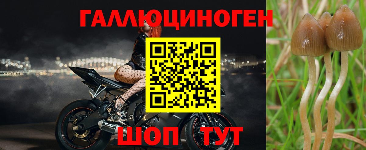 А ПВП Мурманск